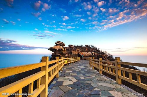 Ò²ÃÅÑǶ¡»ú³¡×òÁ¬Ðø·¢Éú3´Î¾çÁÒ±¬Õ¨ ÒÑÖÂ20ÈËÍö