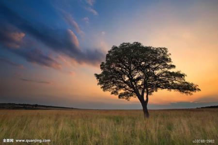 È«ÇòÈ·Õï79232555Àý ¶à¹ú¼ÒÏÖ±äÒìйڲ¡¶¾¸ÐȾÕß