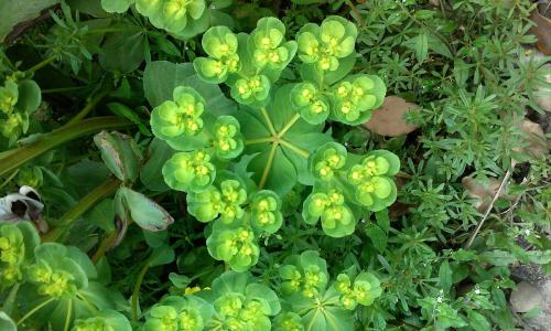 ±¨¸æÏÔʾÎÒ¹úµç×ÓÉÌÎñÁìÓò֪ʶ²úȨ±£»¤È«Ãæ¼ÓÇ¿