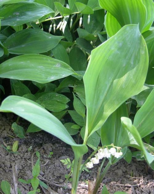 ´ó¹ú²ØÁ¸£¡ÎÒÃÇ¡°ÊÖÀïÓÐÁ¸¡±µÄNÖÖ·½Ê½