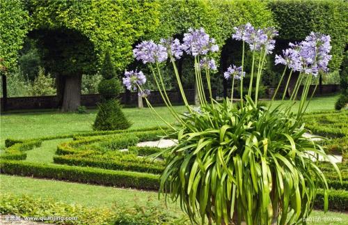 Àî¿ËǿǩÊð¹úÎñÔºÁî ¹«²¼Õþ¸®¶½²é¹¤×÷ÌõÀý