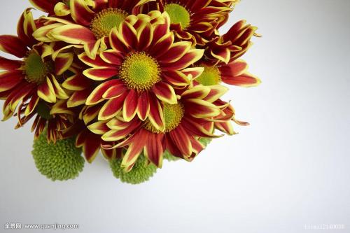 ¶àµØÈ¡Ïû¿çÄê»î¶¯ Ôªµ©¼ÙÆÚ»¹ÄÜÓä¿ì³öÓÎÂð£¿