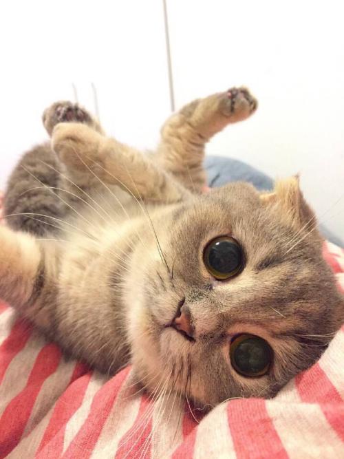 Î÷²ýÎÀÐÇ·¢ÉäÖÐÐÄÁ¬ÐøÈýÄê²õÁªÖйúº½Ìì·¢Éä°ñÊ×