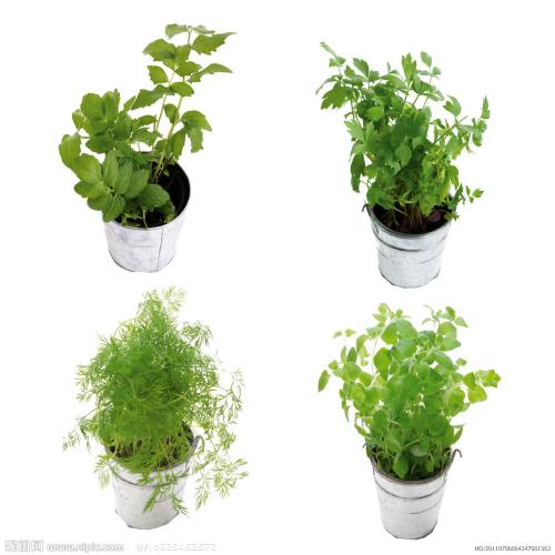 ³¯ÏÊÀͶ¯µ³½«ÓÚÃ÷Äê1Ô³õÕÙ¿ªµÚ°Ë´Î´ú±í´ó»á