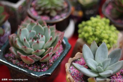 ÖÐÈÕ·ÀÎñ²¿Ãź£¿ÕÁªÂç»úÖÆÖ±Í¨µç»°ÓÐÍû¾¡¿ì½¨Éè