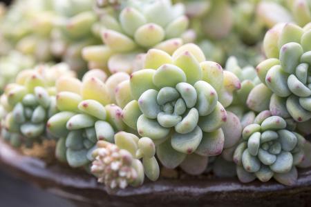 ¹úÎñÔº·¢²¼ÊµÊ©¶¯²úºÍȨÀûµ£±£Í³Ò»µÇ¼Ç¾ö¶¨ È«ÎÄ