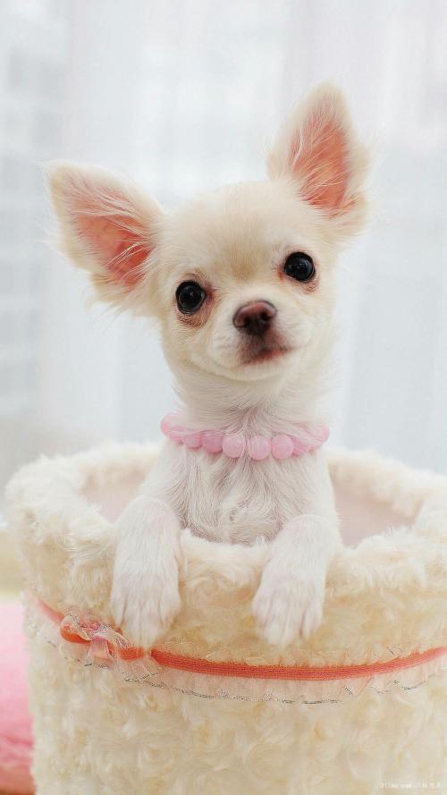 ºÓÄÏÂåÑô³öÍÁ¼ÍÄêÆ÷Îï »ù±¾È·ÈÏĹÖ÷Ϊºº»¸µÛ