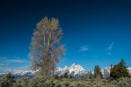 世卫组织:全球累计新冠确诊病例达79673754例