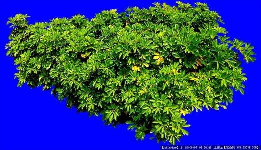 ÌìÆøÔ¤±¨Ô±ÕâÑùÁ¶³É:¼ûʶ¸÷ÖÖÌìÆø ¾Àú·ç˪ÓêÑ©