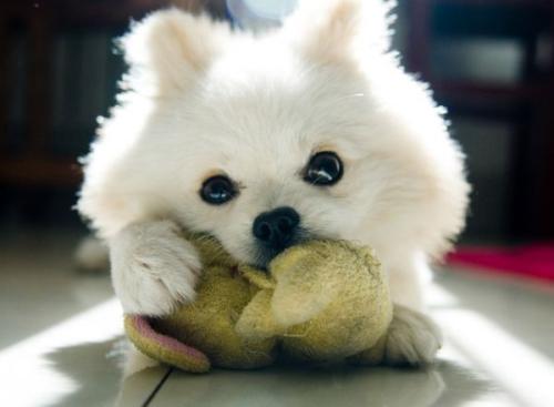 ӦԼһΪսҲޡ