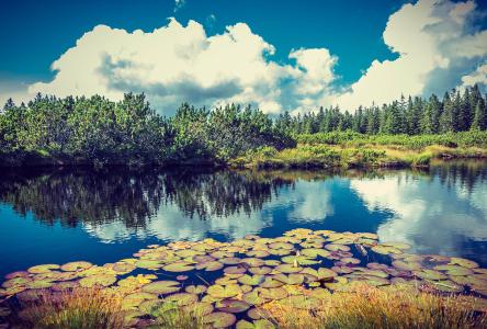 浙江省纪委通报8起违反中央八项规定精神问题