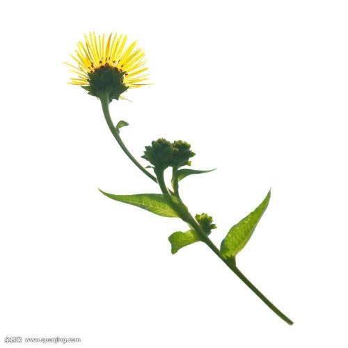 ¶¬°ÂÃ÷ÖéÕÀ·Å¹ââ ±±¾©¶¬°Â»áÑÓÇìÈüÇøÈ«ÃæÍ깤