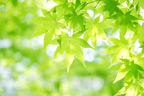 ֯ȫۼ¹ȷﲡ79673754