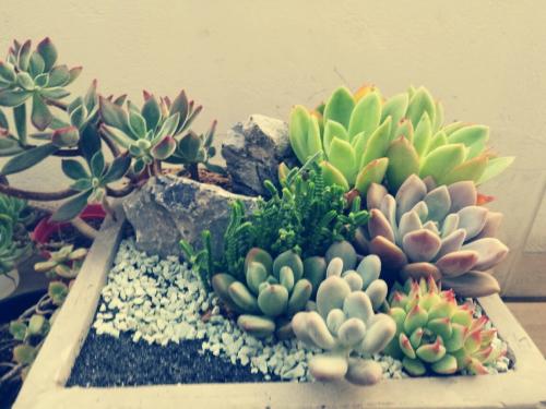 ËÍÍõ´¬µÄÉêÒŹÊÊÂ:ÎÄ»¯»¹ÊÇÃÔÐÅ? Õâ´Î¶¨ÐÔÁË